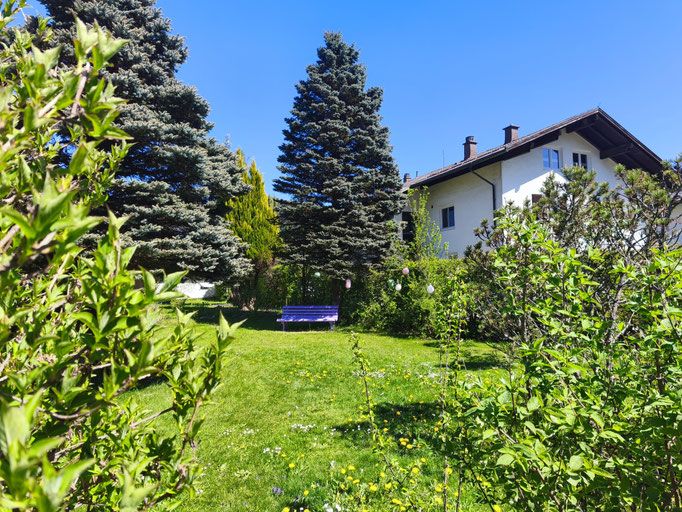Eine Gartenbank mit Tradition. Mittlerweile in  Flieder.
