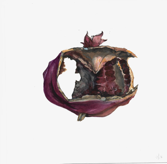 Rat Eaten Pomegranate I, 6½ x 6½, Watercolor on Paper mounted on Found Wood, $575