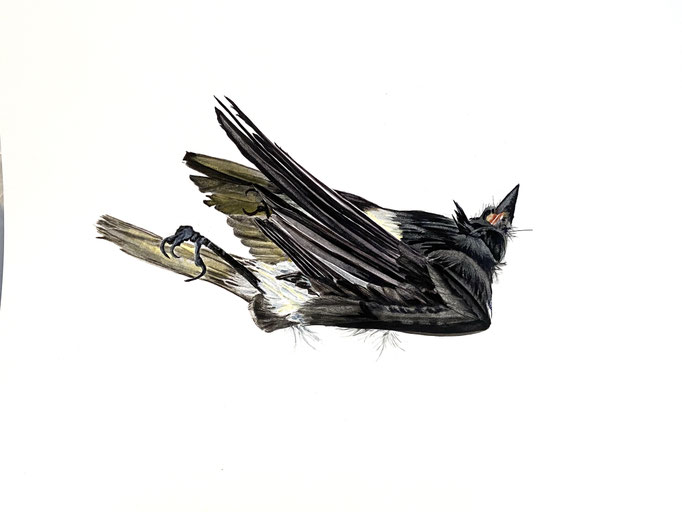 Edward, 8” x 10½” Watercolor on Paper mounted on Found Wood, $875