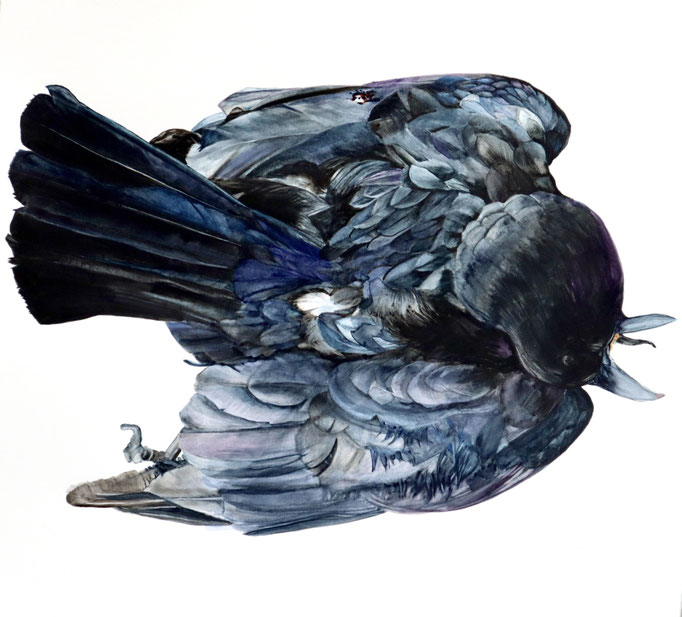 St Margaret Clitherow (Flattened Crow), 14” x 14”, $1750.