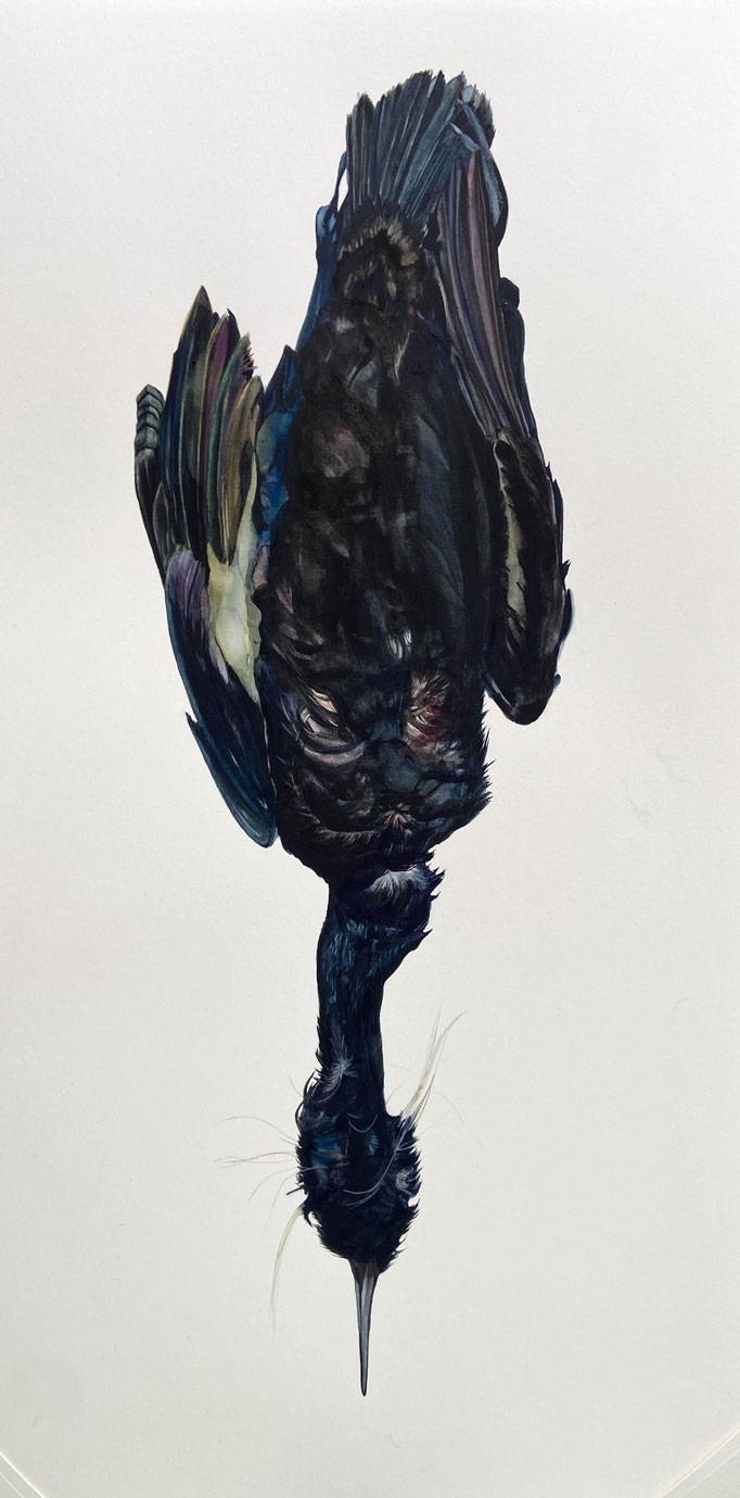 Black Beach Bingo, 15” x 30” Watercolor on Paper (unframed) $1750