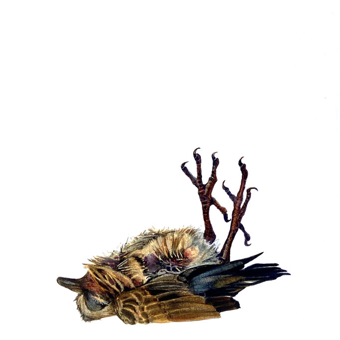 Fallen, 6” x 6” Watercolor on Paper mounted on Found Wood $575