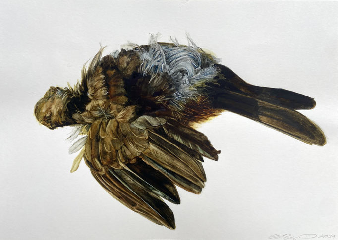 Tatterdemalion Towhee, 7” x 10” Watercolor on Paper mounted on Found Wood, $875