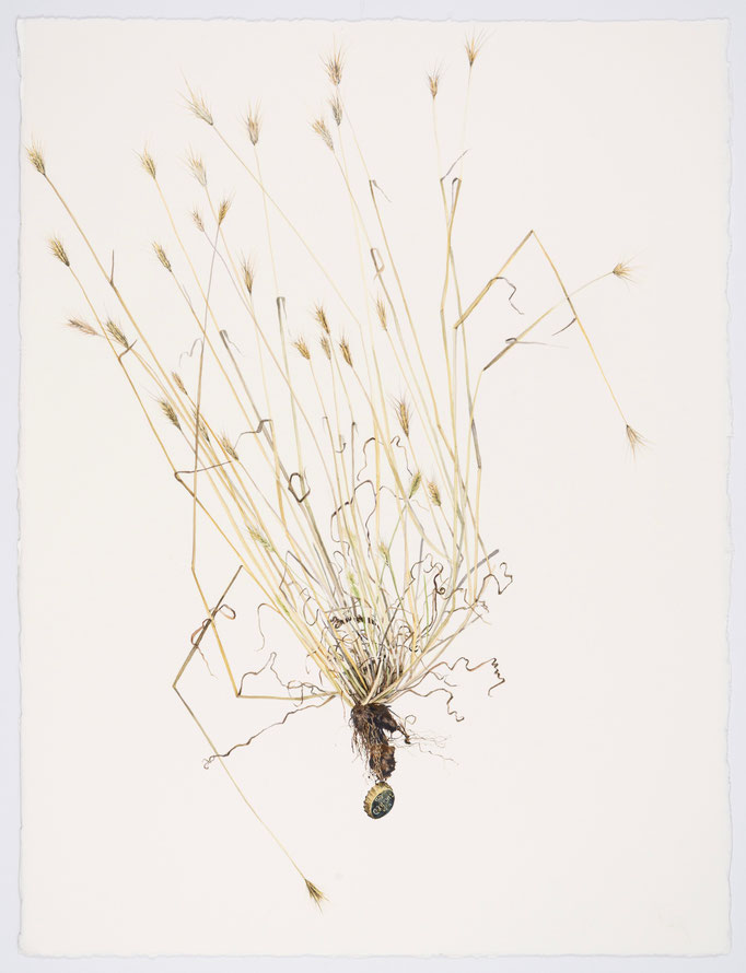 Corona Cap, 22” x 30” Watercolor on Paper, Custom Frame, $2800.