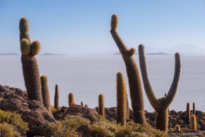 Salar de Uyuni, Bolivien