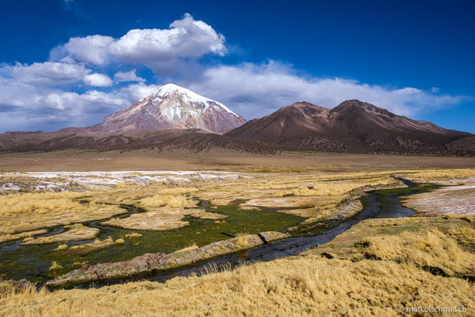 Sajama Nationalpark, Bolivien