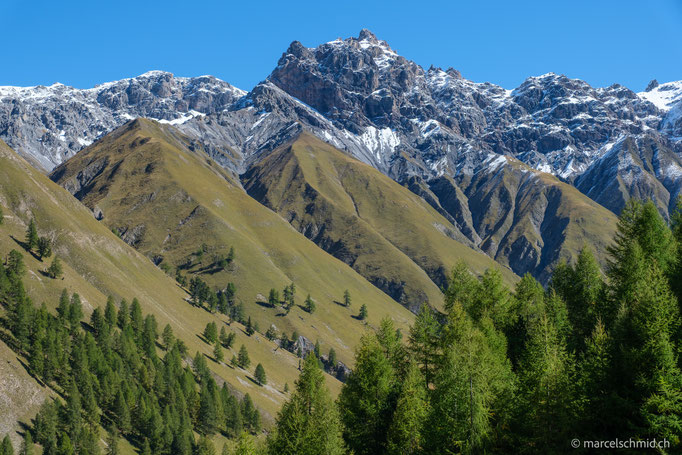 Schweizer Nationalpark, Val Trupchun, Engadin, Schweiz