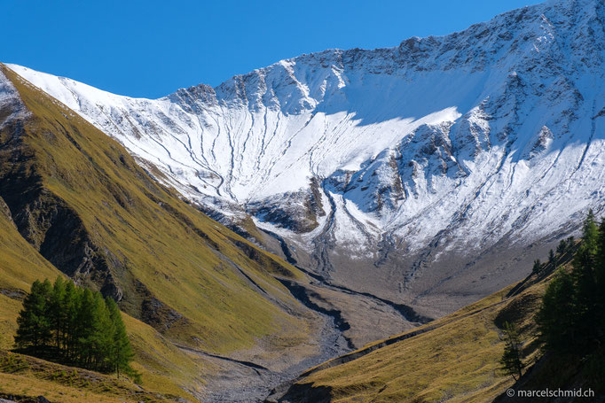 Schweizer Nationalpark, Val Trupchun, Engadin, Schweiz