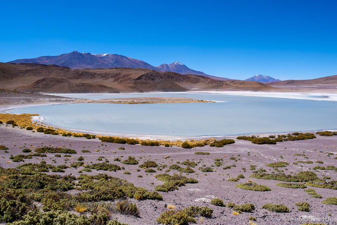 Laguna Honda, Nor Lipez, Bolivien