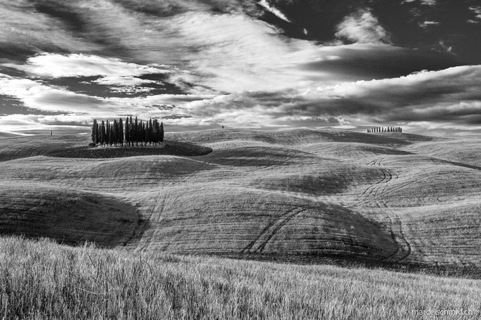 Zypressen im Val d'Orcia, Toscana, Italien