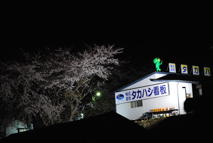 夜桜、カッパ、ＬＥＤ灯光器