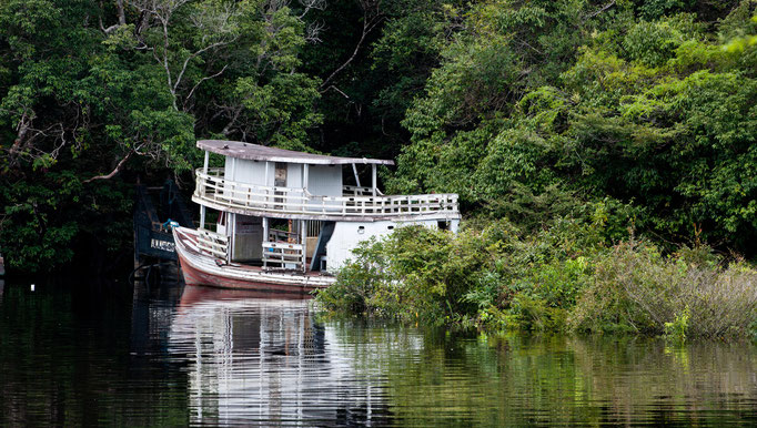 Brasilen Manaus Amazonas