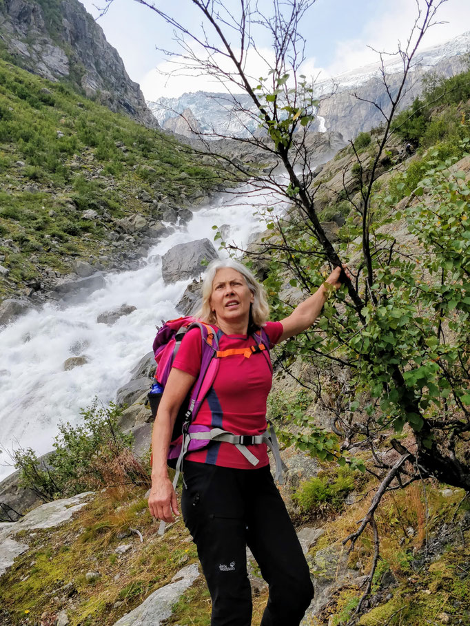 Blick auf den Buarbreen