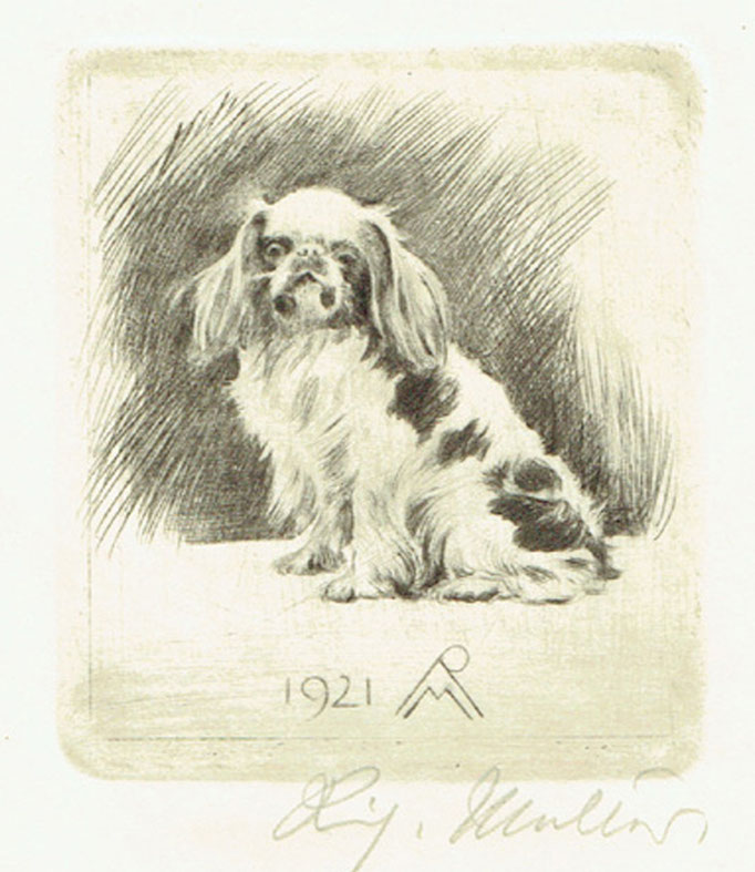 Richard Müller. Pekinese sitzend, 1921 