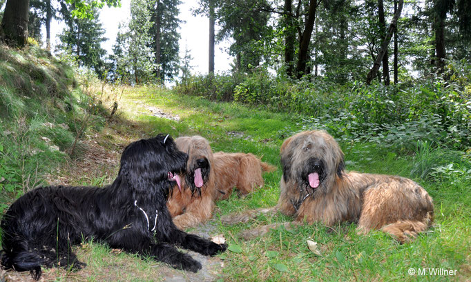 Aurélie, Matilda, Rossi