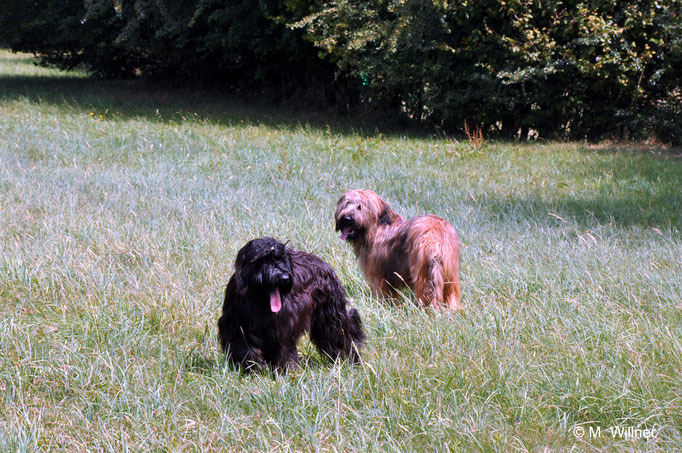 Aurélie und Antonio Rossi