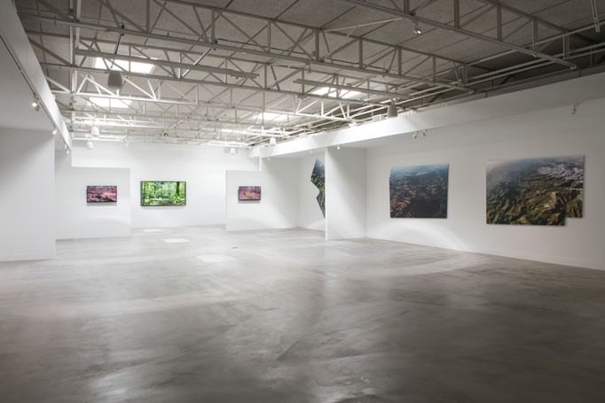 Zhulong Gallery, Dallas, 2015