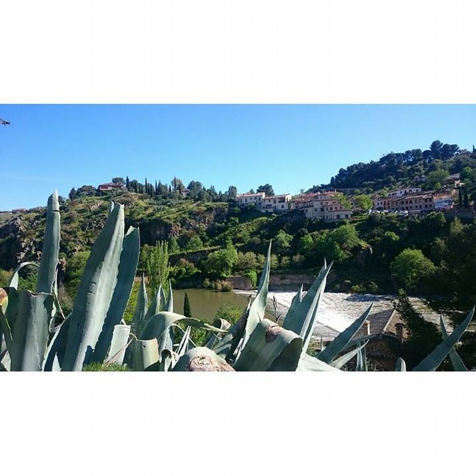 El rio Tajo