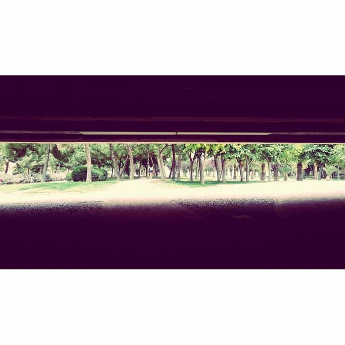 Parque Gulliver