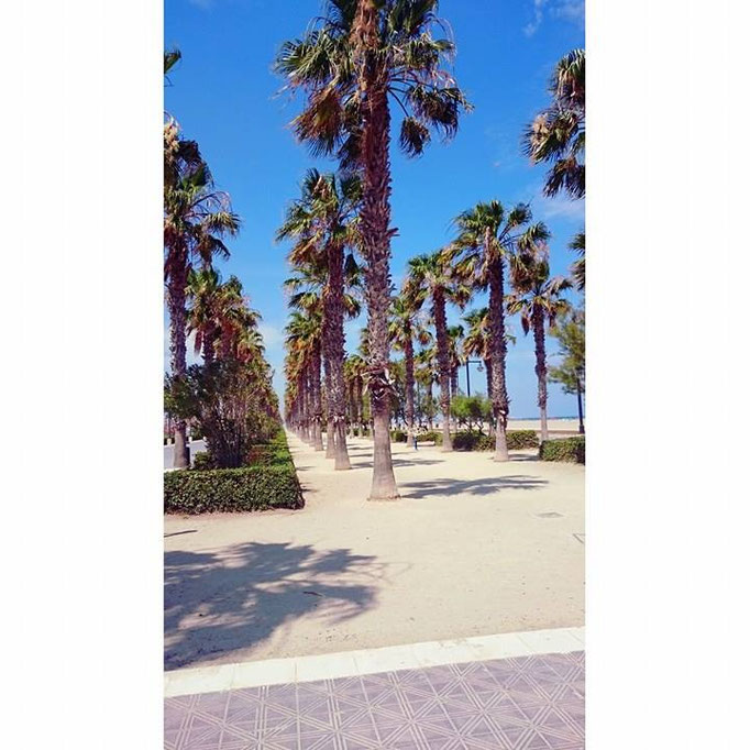 Playaaaa