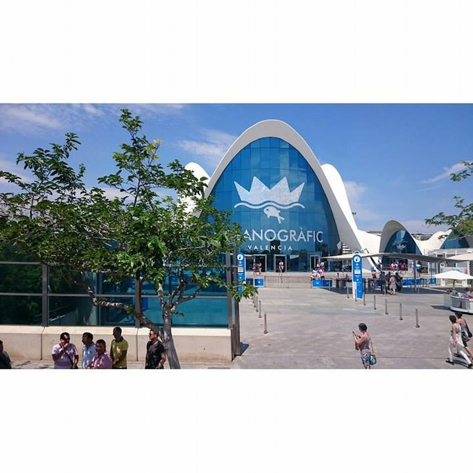 Oceanografic