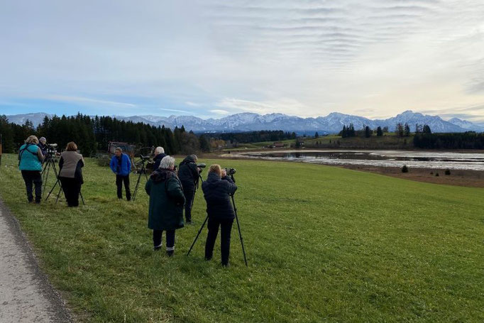 Beobachtungen am Sameister Weiher (Foto: Pit Brützel) 