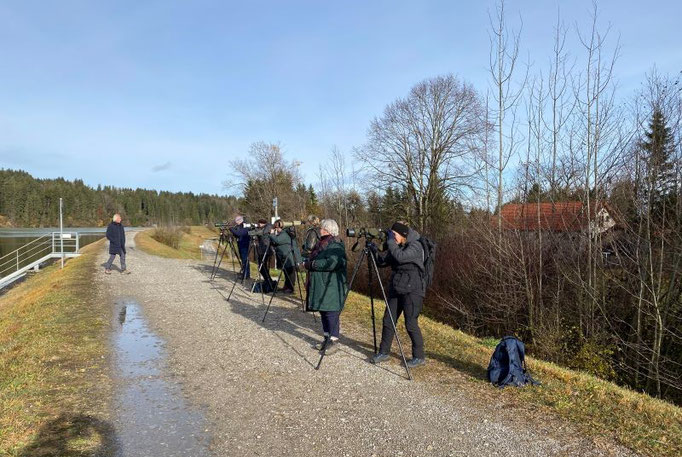 Beobachtung an der Halblechmündung bei Prem (Foto: Pit Brützel)