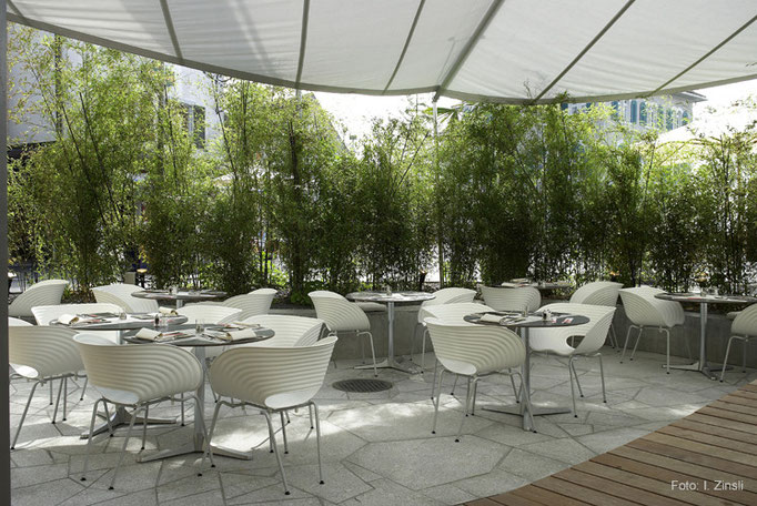 OX Asian Cuisine, Marina Lachen