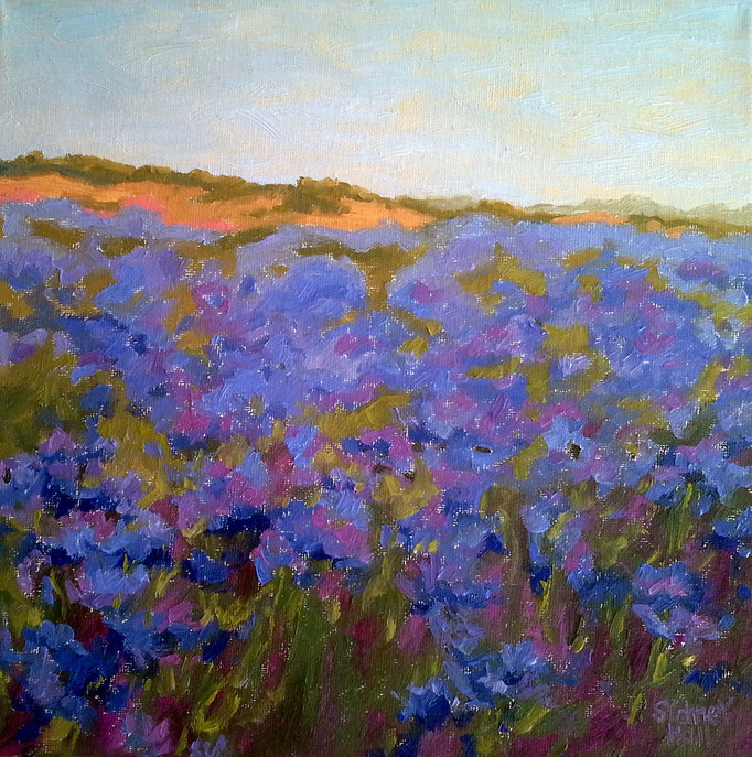 Cornflower Sea, 12x12, SOLD