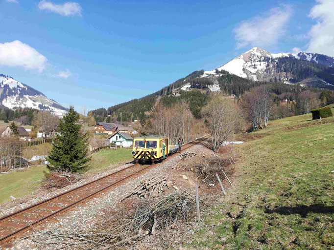 Der Bewuchs seitlich der Bahn wurde bereits merkbar zurückgedrängt