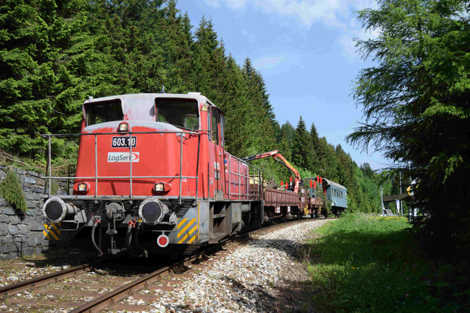 Der Arbeitszug beim Verladen der Sträucher kurz nach dem Bahnhof Präbichl