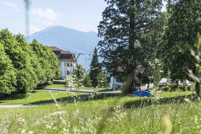 SUP Trail Nr. 2 Horw - Luzern Lido