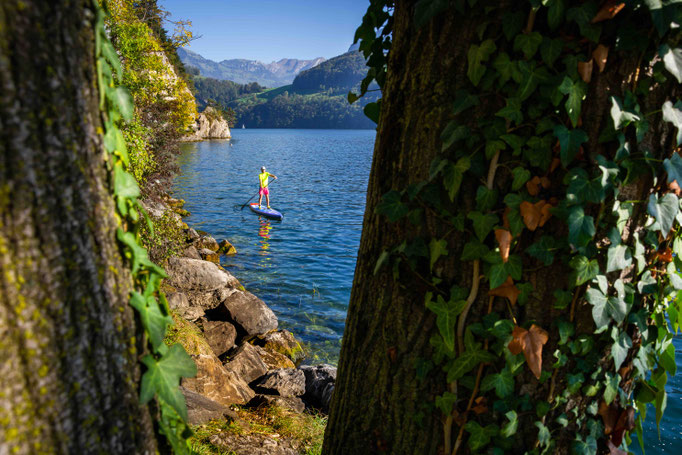 SUP Trail Nr. 1 Alpnachstad - Horw