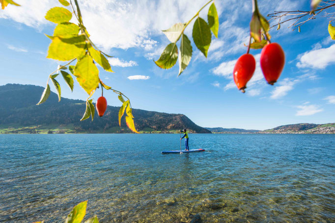 SUP Trail Nr. 12 Ägerisee