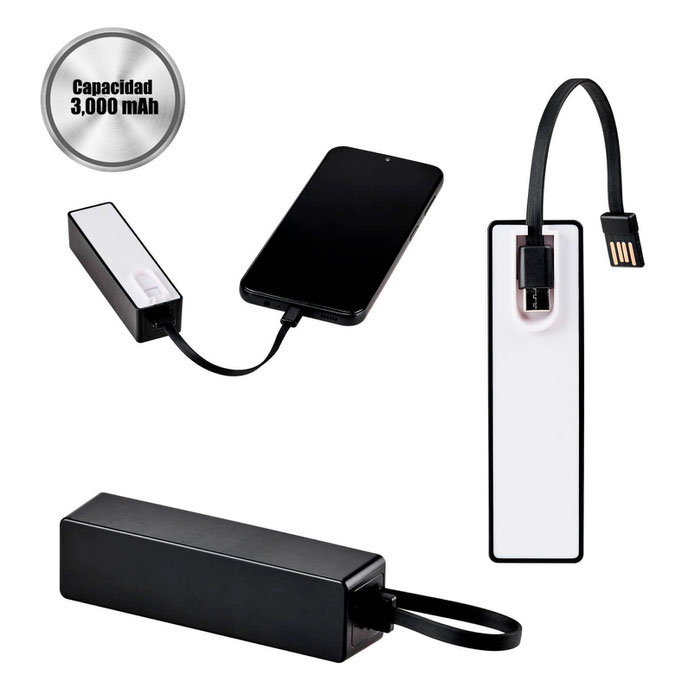 Power Bank Voor