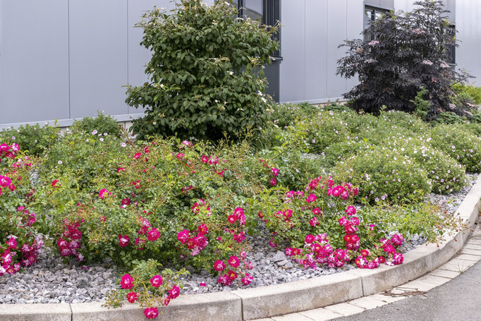 Referenzen Markus Grebe Garten- und Landschaftsbau Korbach