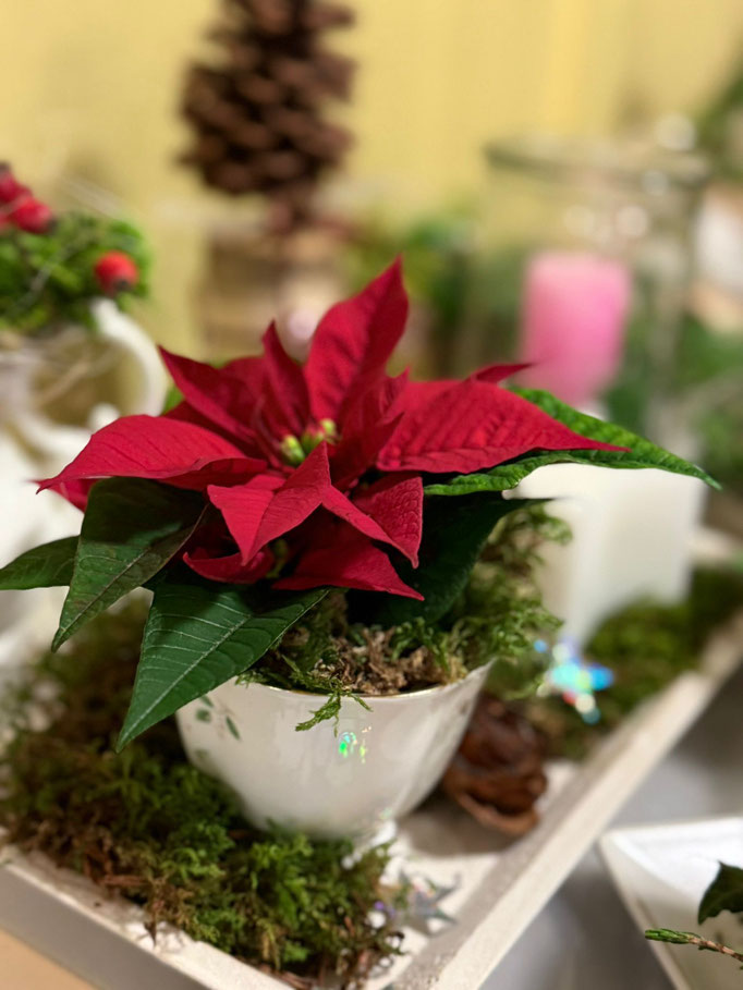 Chranzne für den Basar