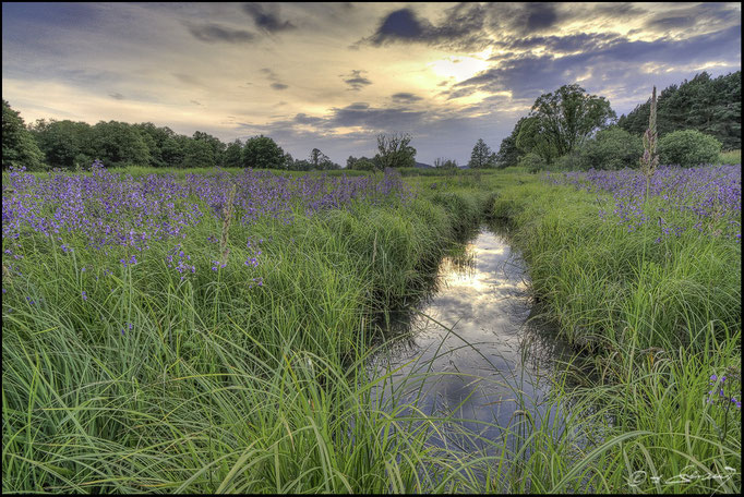 69 Deusmaurer Moor