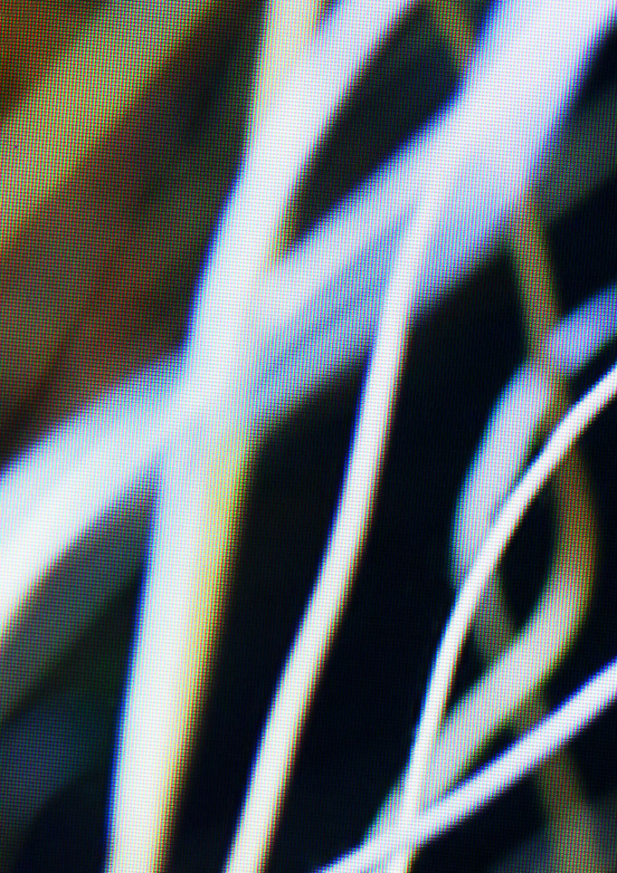 untitled #2 (aquarium), tv series, 2015, 29,7x42cm, inkjet print on archival paper, 8 + 2AP