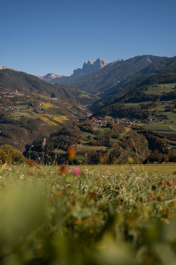 Panoramaweg & Keschtnweg Feldthurns – eine der schönsten Herbstwanderungen im Eisacktal, Südtirol ©Marika Unterladstätter
