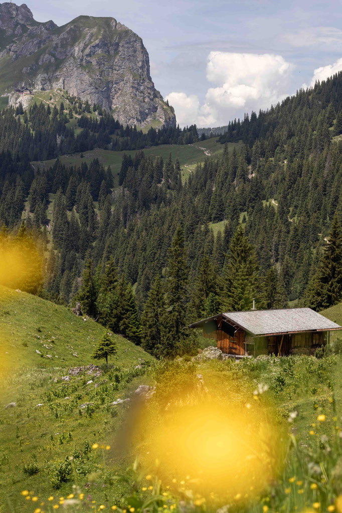 Eine idyllische Almhütte liegt eingebettet zwischen blühenden Bergwiesen, dichten Wäldern und markanten Gipfeln des Tannheimertals. Rund um DER ENGEL im Tannheimertal eröffnet sich eine ursprüngliche Alpenlandschaft, die zu Wanderungen, Naturgenuss und er