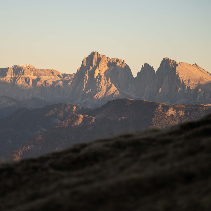 Dolomitenblick vom Waldhotel Tann am Ritten in Südtirol.