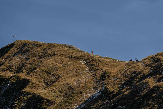 Hotel & Gasthof ADLER in Schoppernau | Boutiquehotel, Apartmenthaus & Eventlocation im Bregenzerwald, Vorarlberg • Member of Mountain Hideaways ©MarikaUnterladstätter _fullwidth-gallery-splash