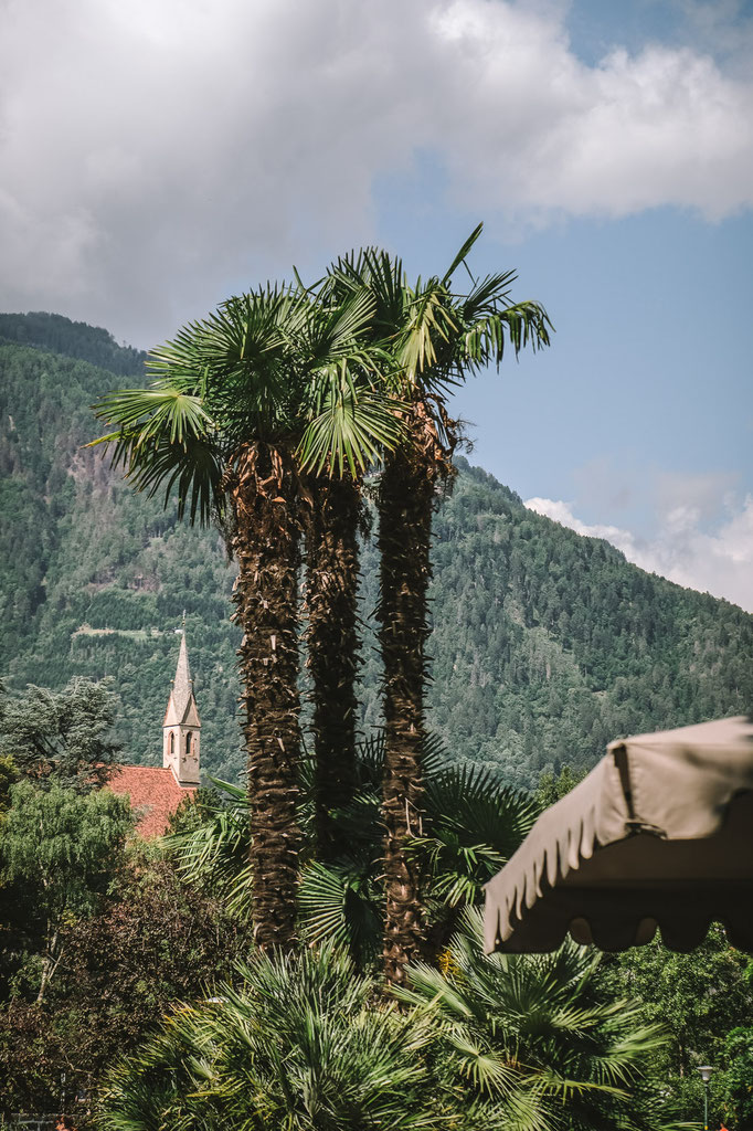 DAS DORNER, boutique hotel with wellness/spa/pool/infinity pool – Lagundo near Merano – South Tyrol ... Member of Mountain Hideaways – the most beautiful hotels in the Alps ©Mela Hipp