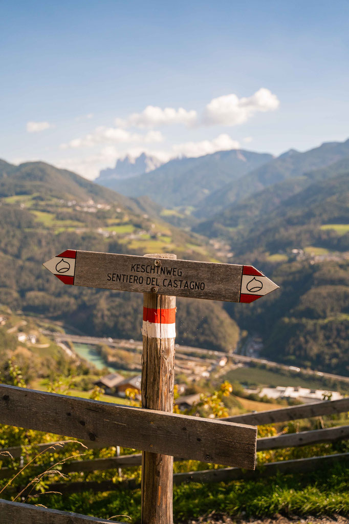 ON THE CHESTNUT TRAIL FROM FELDTHURNS TO KLAUSEN, Eisack Valley - South Tyrol ©Lena Sulzenbacher
