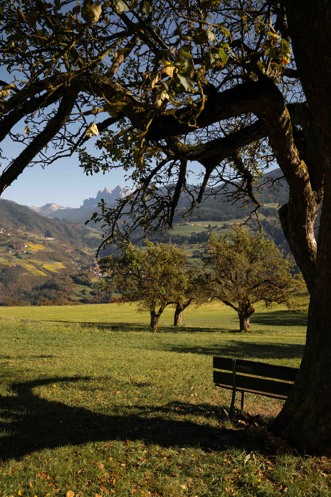 Panorama & Chestnut Trail Feldthurns – one of the most beautiful autumn hikes in the Eisack Valley, South Tyrol ©Marika Unterladstätter