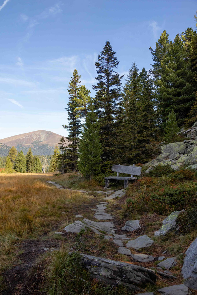 Almbutler Turracher Höhe - kostenlose Wanderungen und Erlebnisse mit geprüften Bergwanderführern ©Melina Unterladstätter