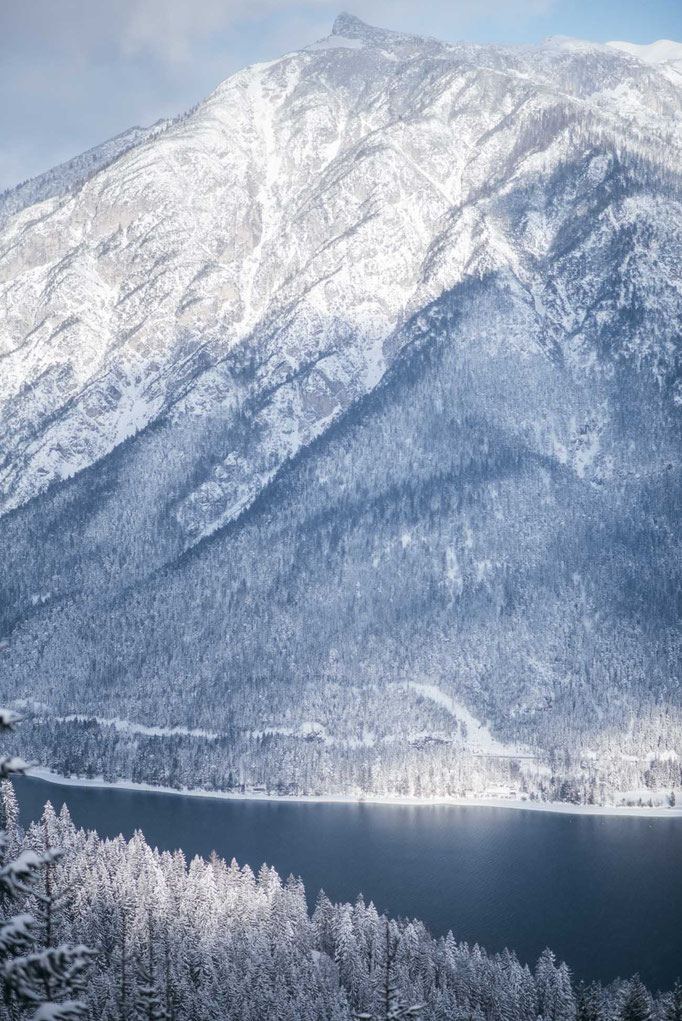 Rodelbahn ZWÖLFERKOPF - Achensee - Pertisau - Tirol 