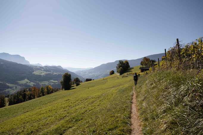 Panoramaweg & Keschtnweg Feldthurns – eine der schönsten Herbstwanderungen im Eisacktal, Südtirol ©Marika Unterladstätter