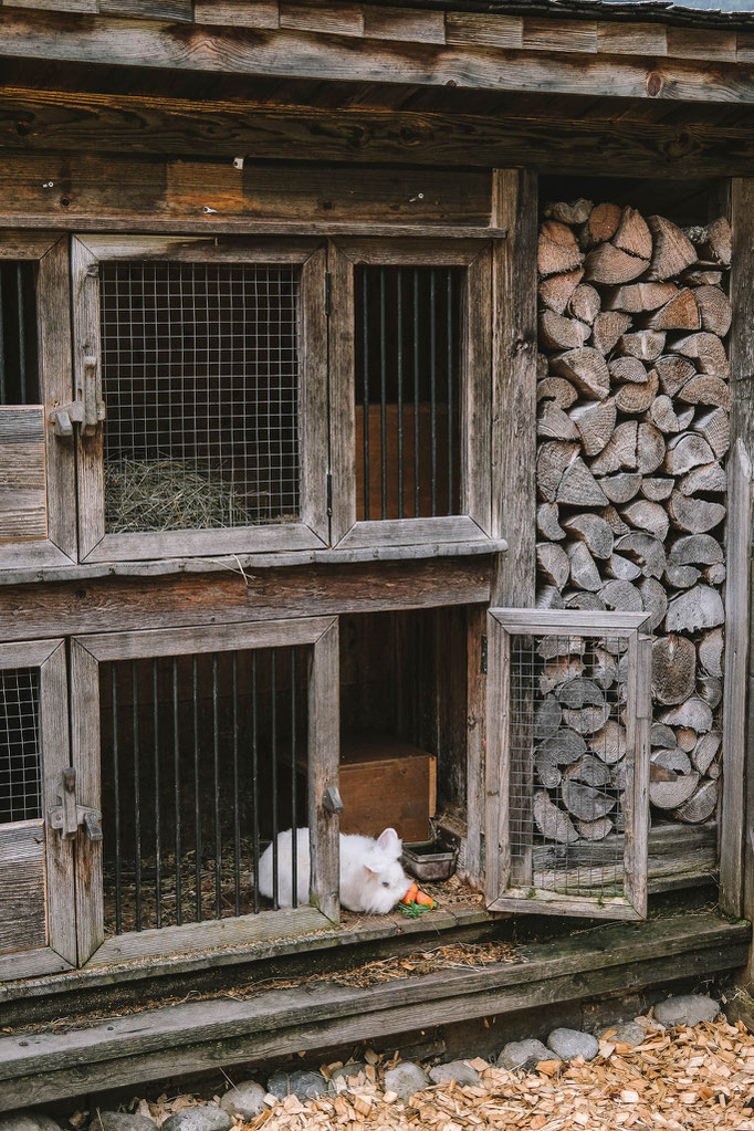 Holzleb’n Family Village – where chalet comfort meets farmyard charm in the heart of Salzburg’s mountains. A Mountain Hideaways member. ©Mela Hipp